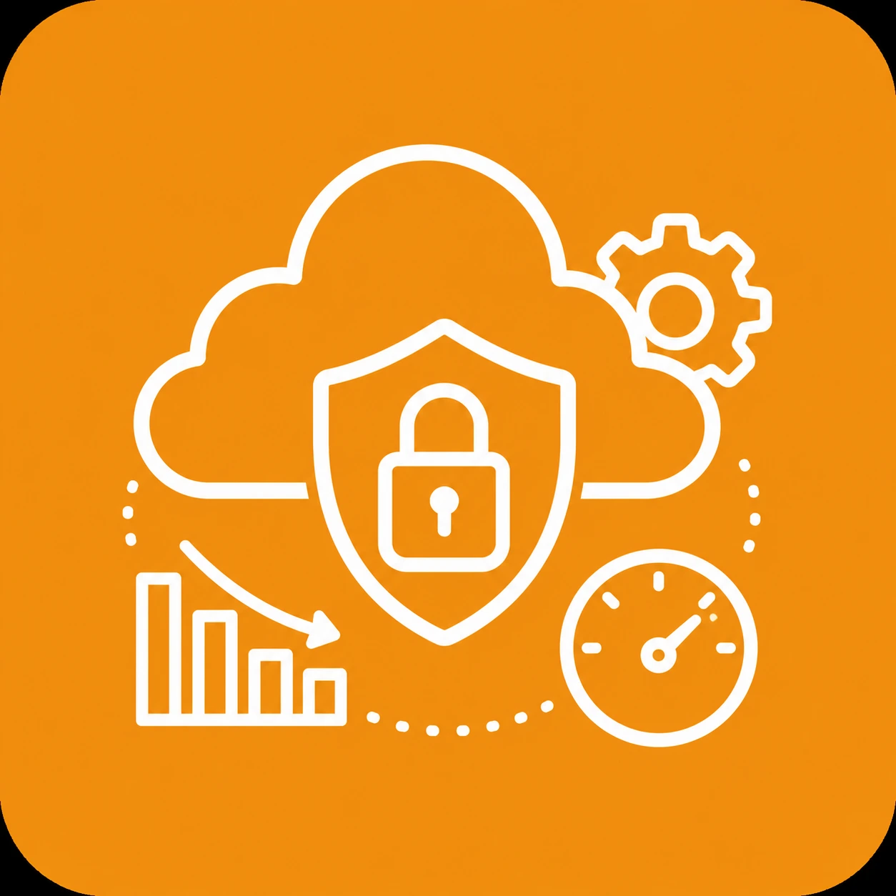 Cloud Security & Optimization