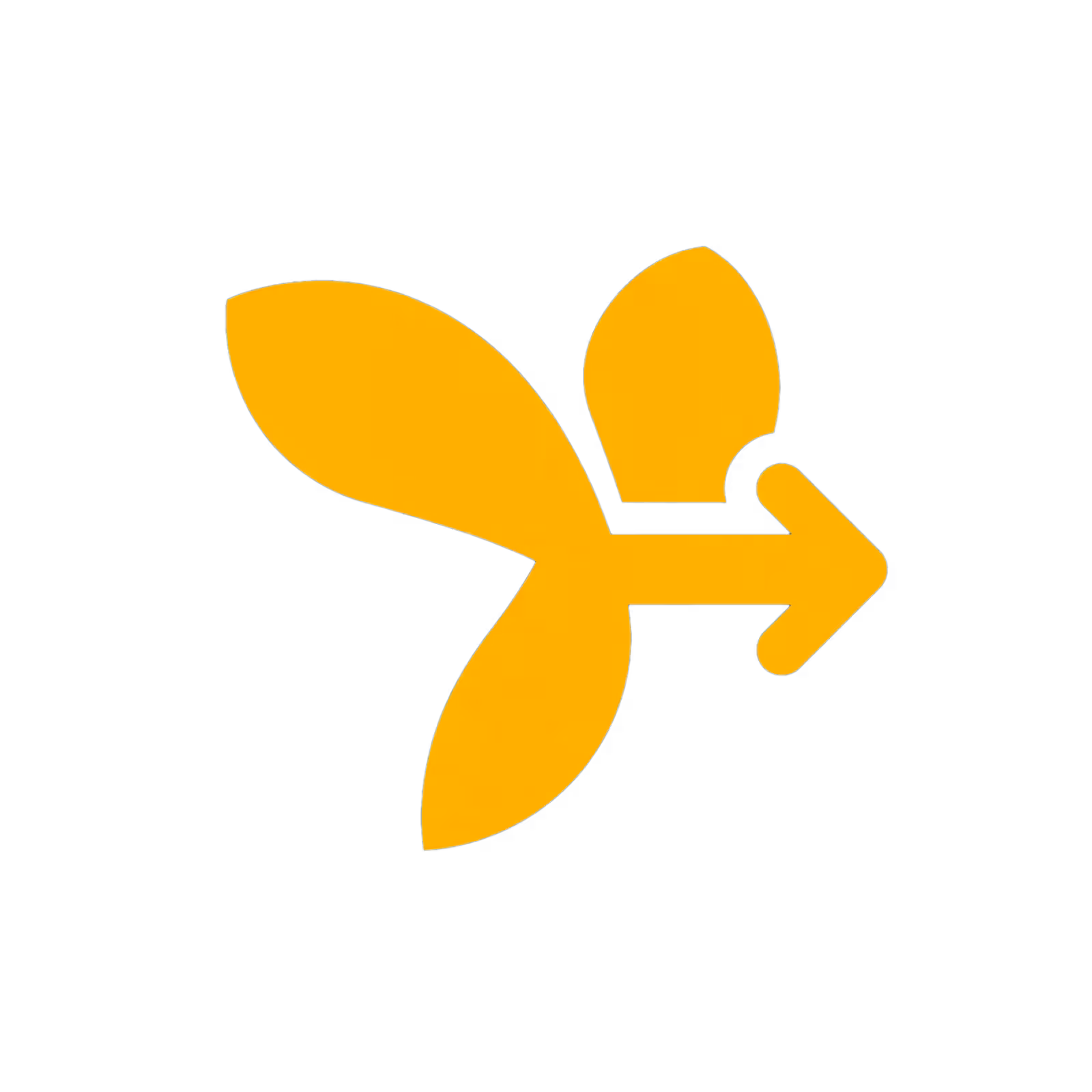 Symfony Development