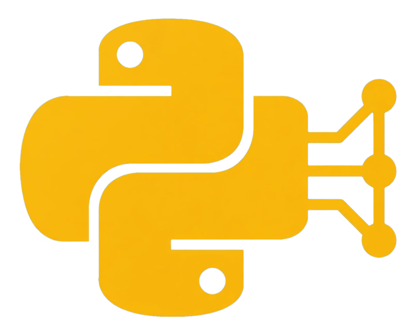 Python API Integration