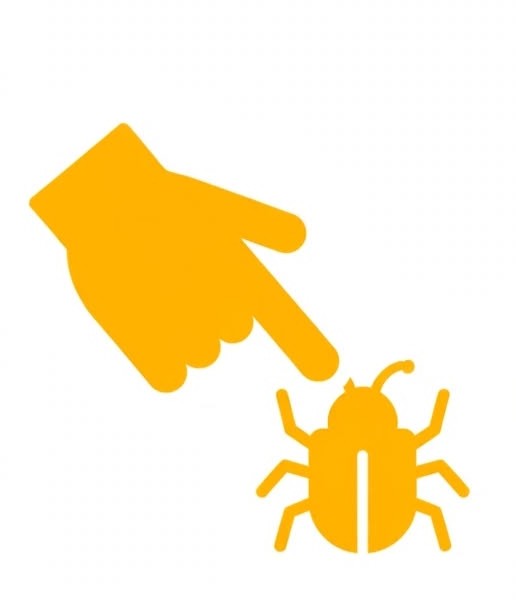 Manual Software Testing