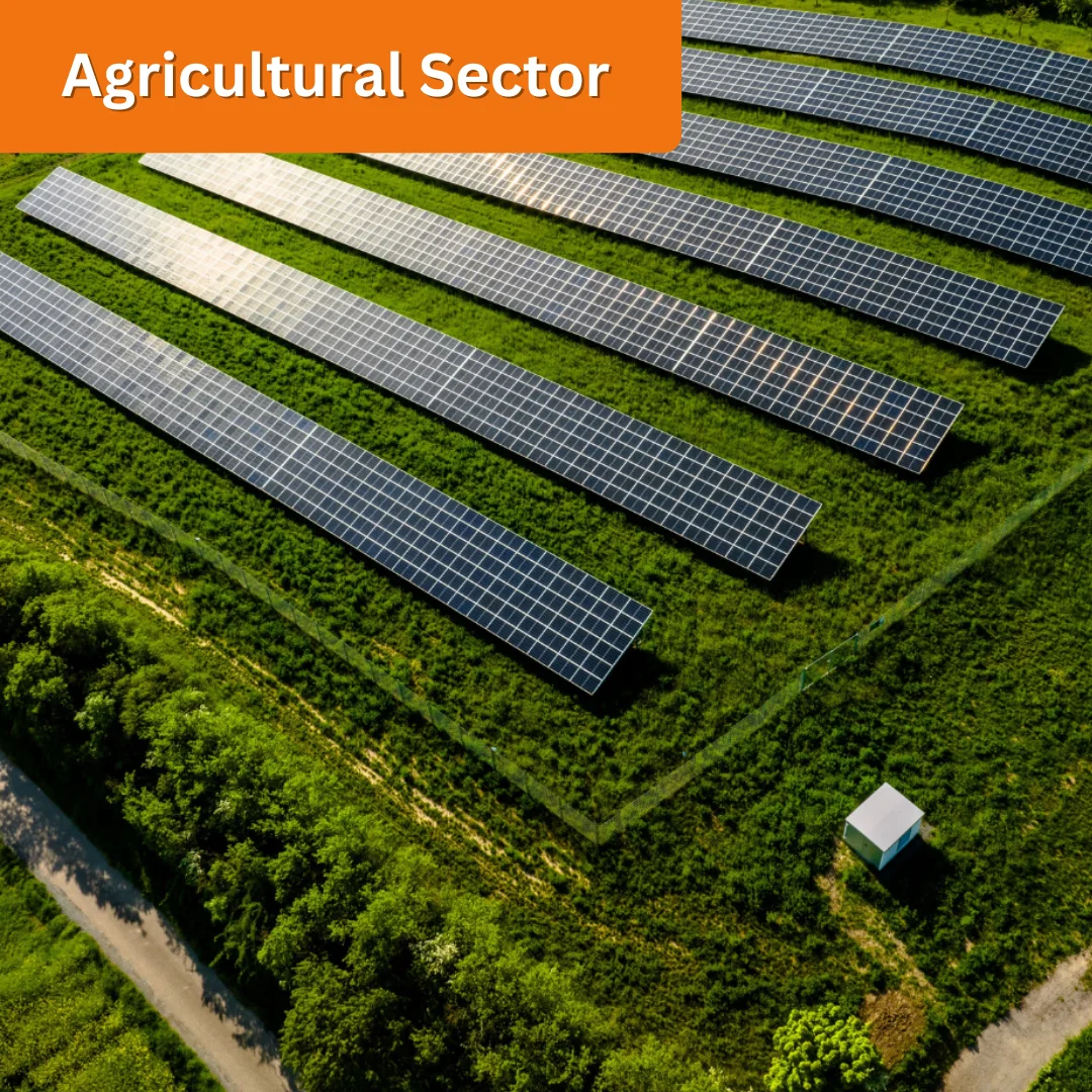 Agriculture Sector In Urjaone Agriculture Sector