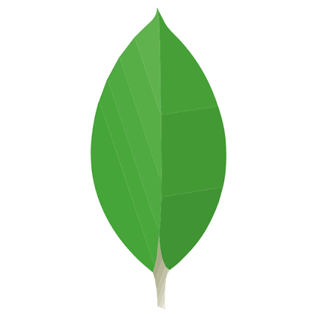 MongoDB Development